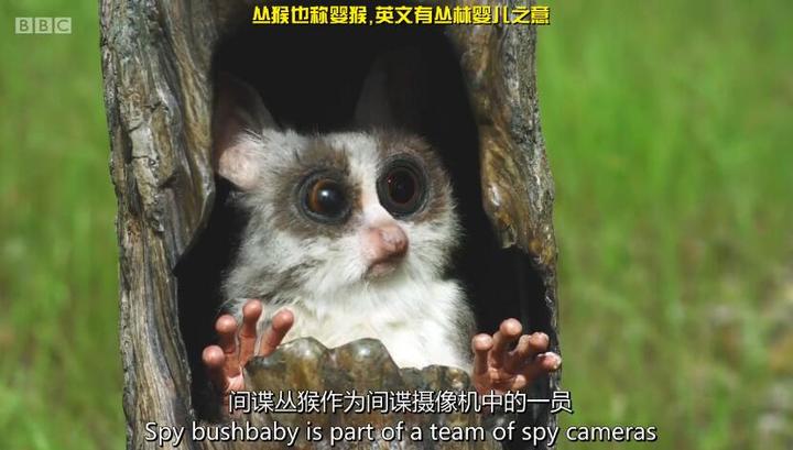 情景喜爆笑档案